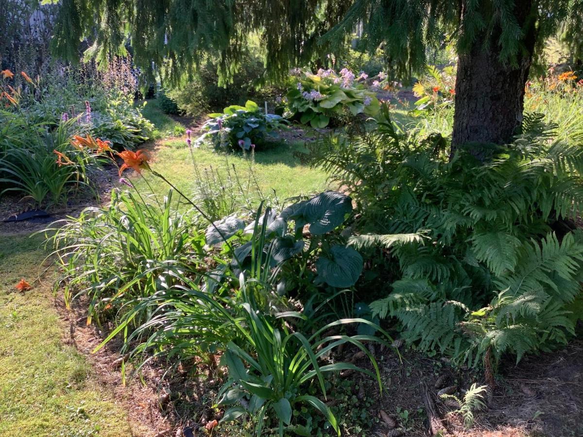 Les Saisons Du Fleuve Bed & Breakfast Lotbiniere Екстериор снимка