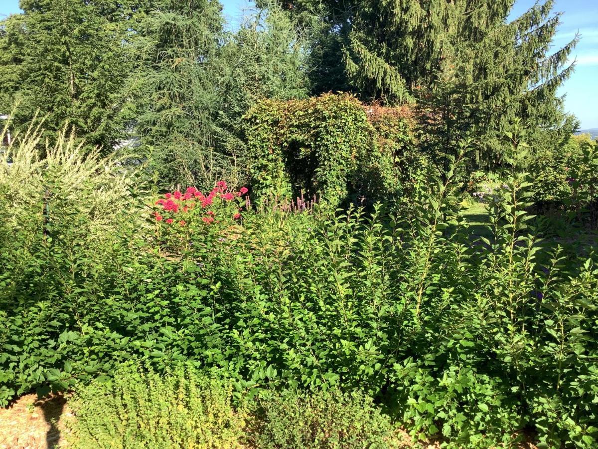 Les Saisons Du Fleuve Bed & Breakfast Lotbiniere Екстериор снимка
