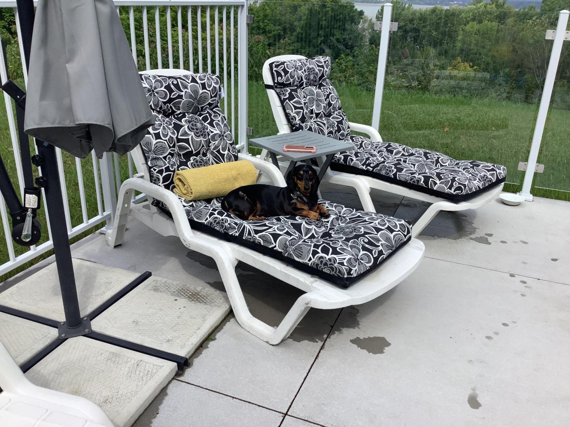 Les Saisons Du Fleuve Bed & Breakfast Lotbiniere Екстериор снимка